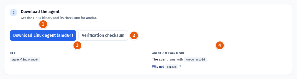 Step 2 with the download buttons and the agent mode