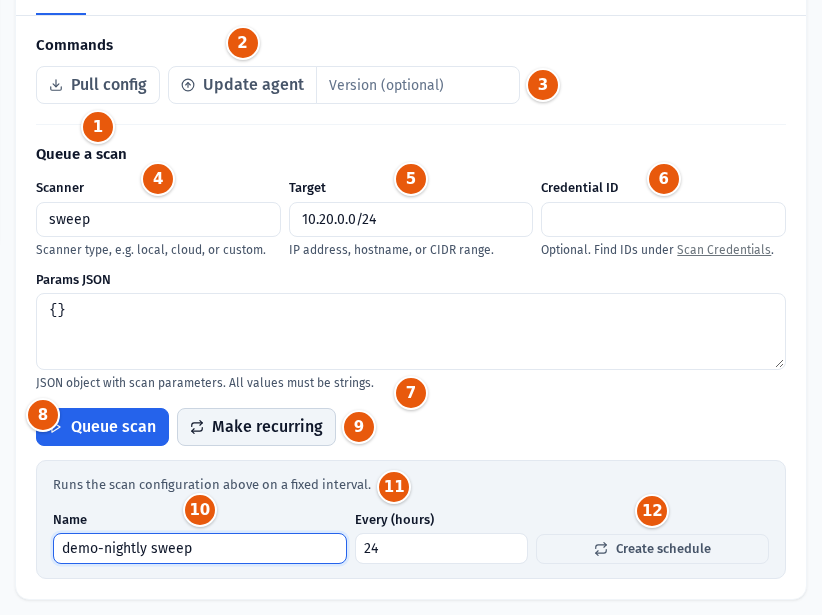 The Manage tab with the commands, the scan form and the recurring-scan panel
